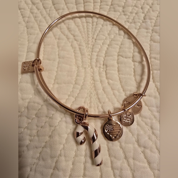 Alex and Ani Jewelry - EUC, Like NEW! Alex and Ani Rose Gold Candy Cane Charm Bangle Bracelet